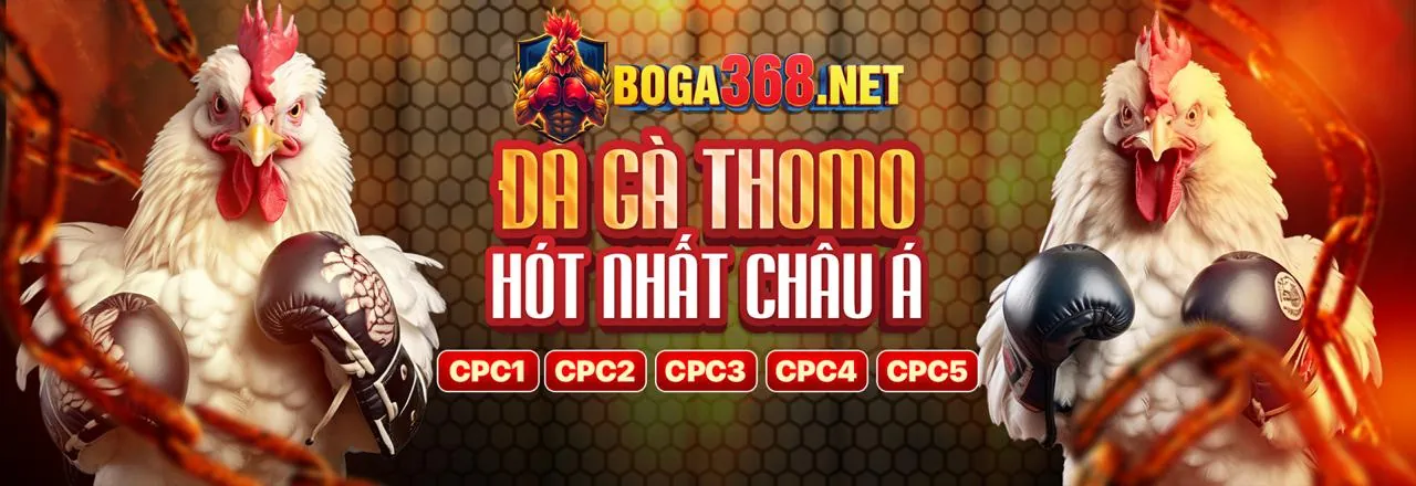 Các loại thưởng BK8