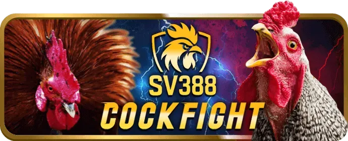 Bàn chơi casino trực tuyến BK8 với dealer